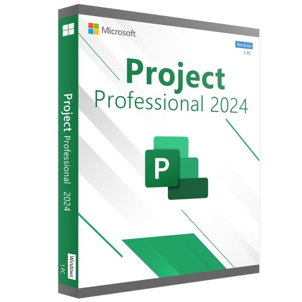 Microsoft Project 2024 Professionnel - Bind